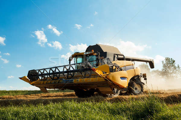 Yellov combine on field harvesting gold wheat Stock photo © artush