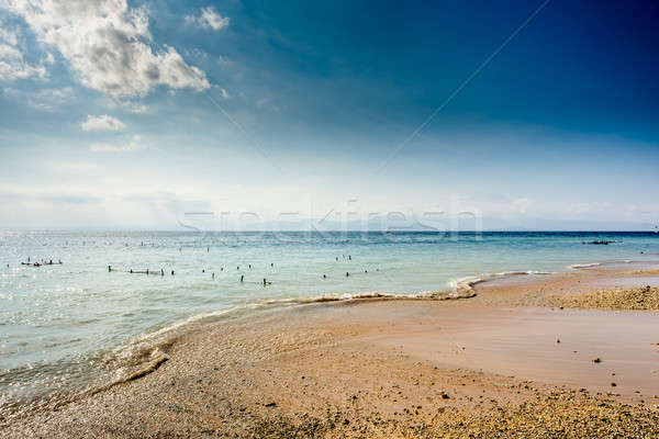 Zeewier strand laag getij bali eiland Stockfoto © artush