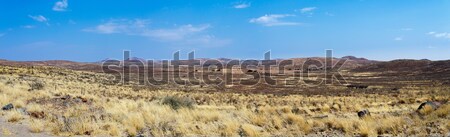 Stock photo: panorama of fantastic Namibia moonscape landscape