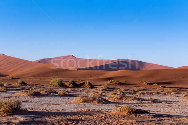美麗 景觀 隱 沙漠 日出 死 商業照片 © artush