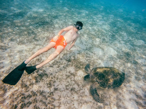 Młody chłopak rurka do nurkowania pływać zielone morza żółwia Zdjęcia stock © artush