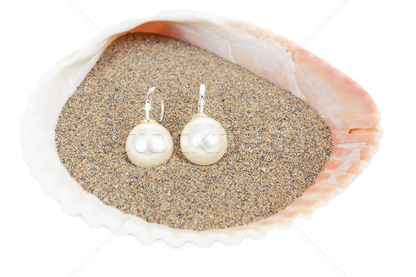 two pearl earrings and sea shells on white Stock photo © artush