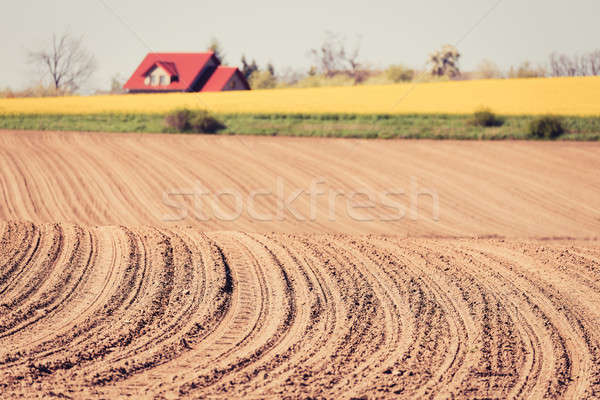 spring plowed field curves Stock photo © artush