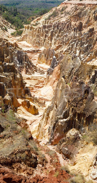 Ankarokaroka canyon in Ankarafantsika, Madagascar Stock photo © artush