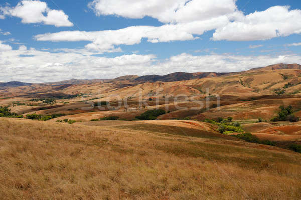 Madagascar countryside highland landscape Stock photo © artush