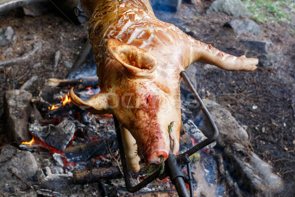 Purcel grătar în aer liber porc deschide focul alimente Imagine de stoc © artush