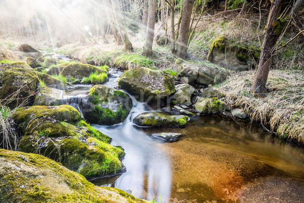 Falls on the small mountain river in a wood Stock photo © artush