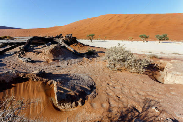 beautiful landscape of Hidden Vlei in Namib desert Stock photo © artush