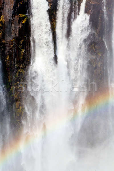 The Victoria falls with rainbow on water Stock photo © artush