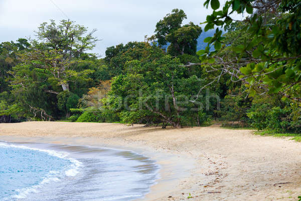 Krajobraz parku Madagaskar piękna charakter Zdjęcia stock © artush
