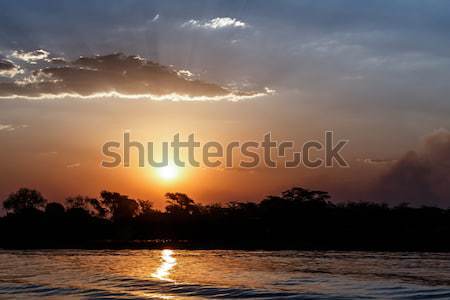 African sunset on Chobe river Stock photo © artush
