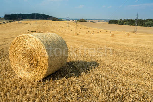 Stockfoto: Mooie · landschap · stro · velden · Tsjechische · Republiek · blauwe · hemel