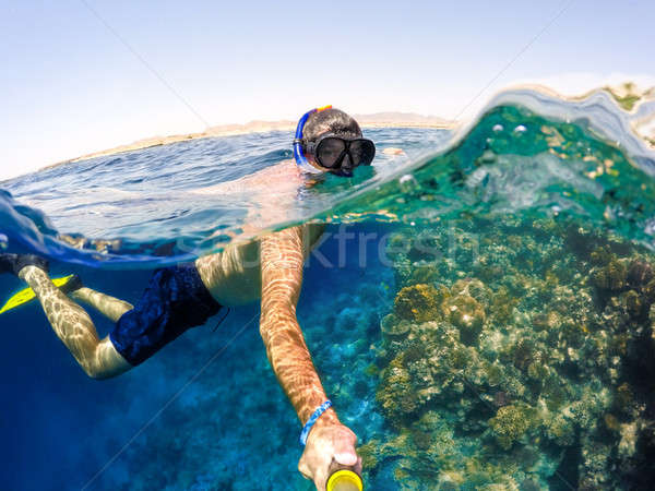 Rurka do nurkowania płytki wody Egipt podwodne Zdjęcia stock © artush