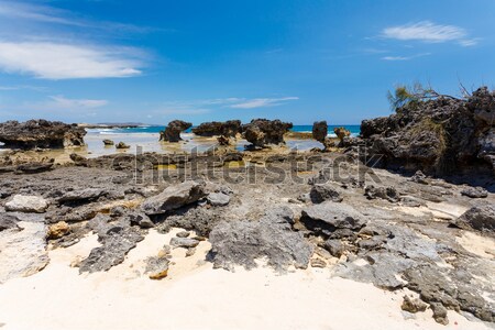 Strand Madagascar mooie indian oceaan pittoreske Stockfoto © artush