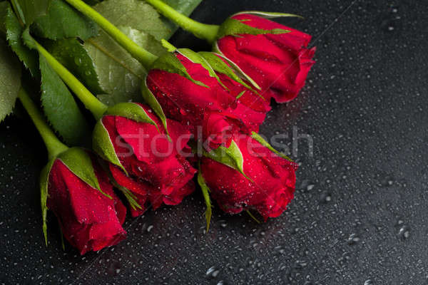 fresh red roses Stock photo © artush