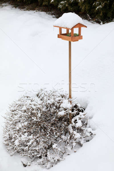 simple bird feeder in winter garden Stock photo © artush