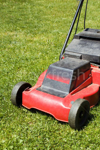 lawnmower on green grass Stock photo © artush