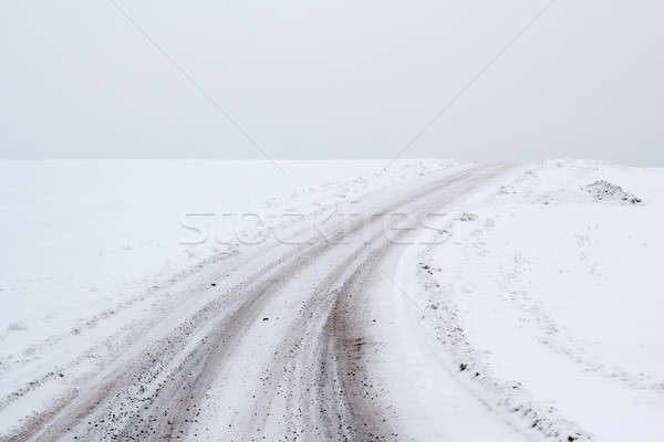 winter landscape with rural road Stock photo © artush