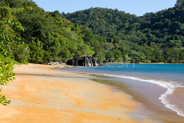 Beautiful dream paradise beach, Madagascar Stock photo © artush