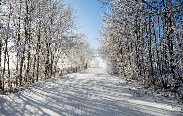 Tél út napos fagyos nap kék ég Stock fotó © artush