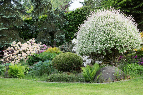 Beautiful spring garden design with rhododendron Stock photo © artush