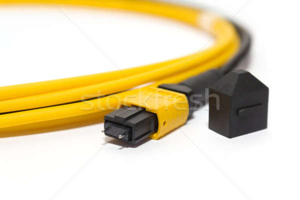 fiber optic MTP (MPO) pigtail, patchcord connectors Stock photo © artush