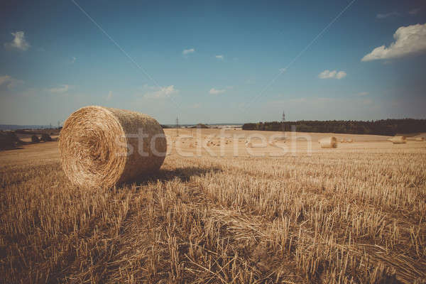 Retro Farbe Stroh Felder schönen Landschaft Stock foto © artush