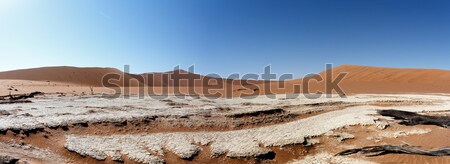 beautiful landscape of Hidden Vlei in Namib desert panorama Stock photo © artush