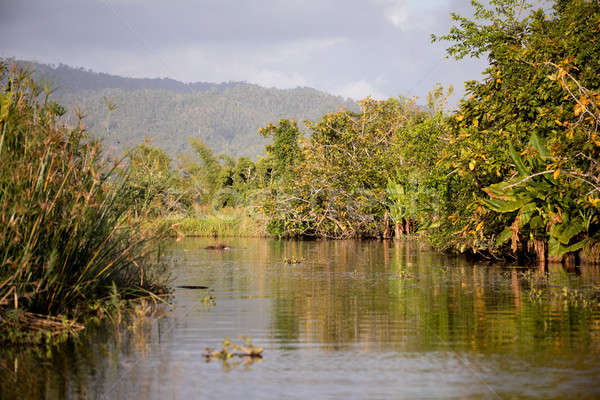 Madagascar traditional river landscape Stock photo © artush