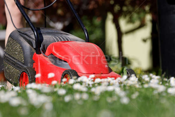 Grasmaaier groen gras groene tuin gras zonnige Stockfoto © artush