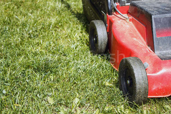 detail of lawnmower on green grass Stock photo © artush
