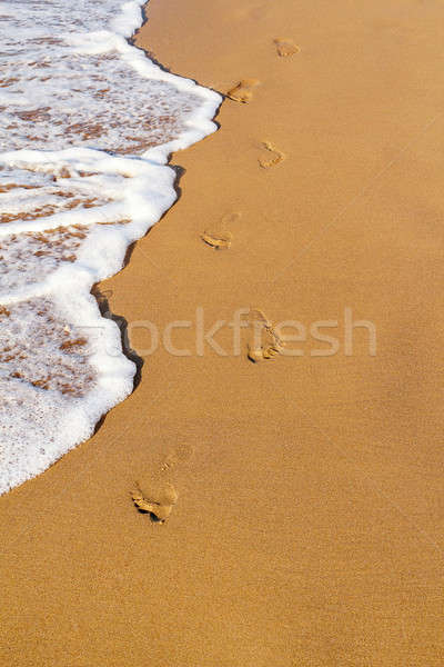 Footsteps on the beach Stock photo © artush