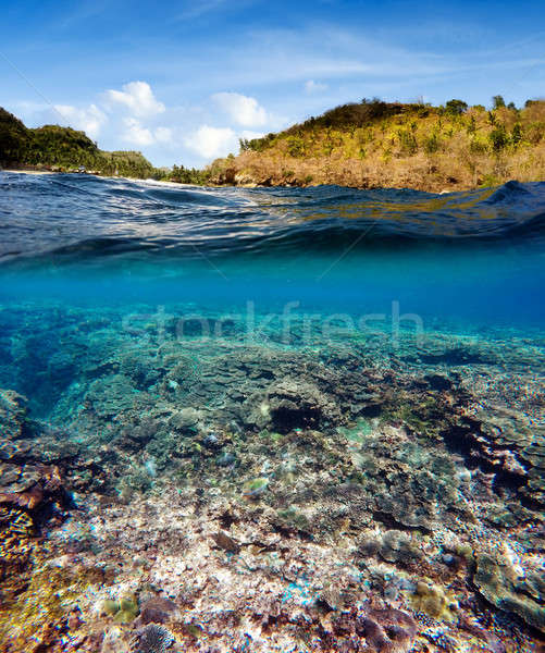 Underwater and surface split view in the tropics Stock photo © artush