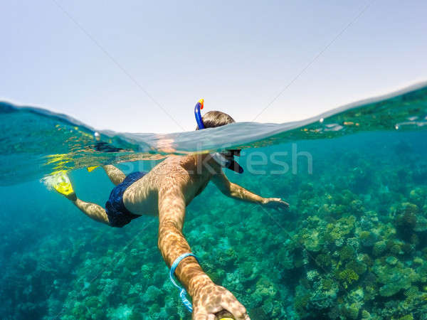 Snorkel swims in shallow water, Red Sea, Egypt Stock photo © artush