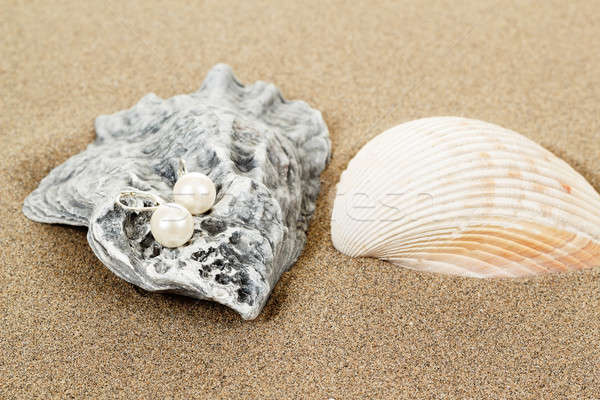 two pearl earrings and shells on sand Stock photo © artush