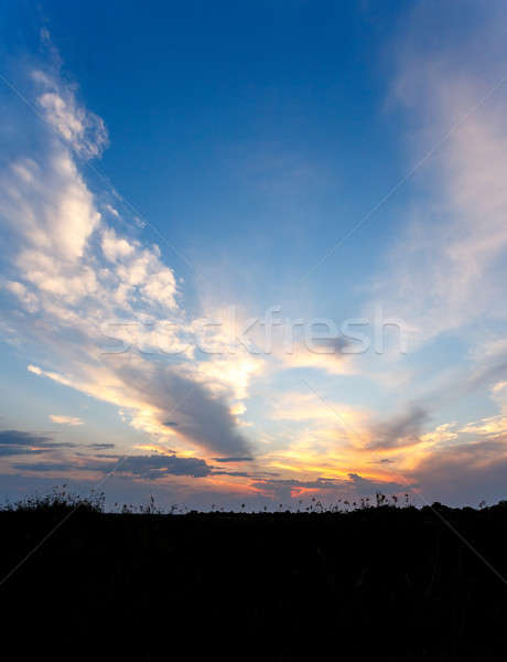 African sunset with dramatic clouds on sky Stock photo © artush
