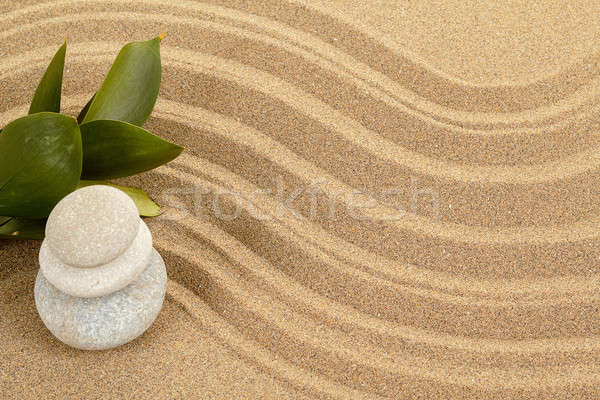 Gleichgewicht Steine Sand grüne Blätter Strand Stock foto © artush