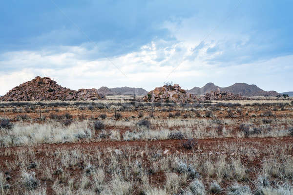 panorama of fantastic Namibia moonscape landscape Stock photo © artush