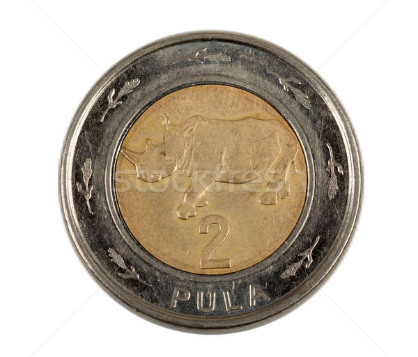 Detail of Botswana Pula coin Stock photo © artush