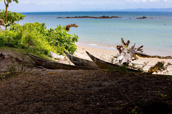 Beautiful dream paradise beach, Madagascar Stock photo © artush