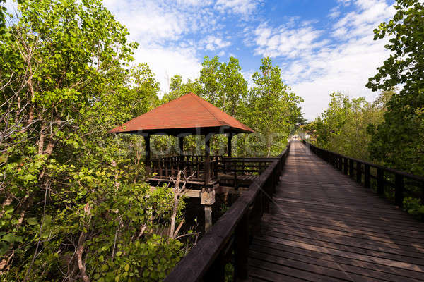 Indonesian landscape with walkway Stock photo © artush