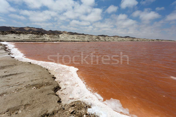 salt mineral mining in Namibia Stock photo © artush