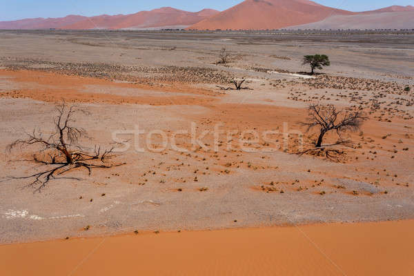 Zdjęcia stock: Wydma · Namibia · widoku · górę · najlepszy · miejsce