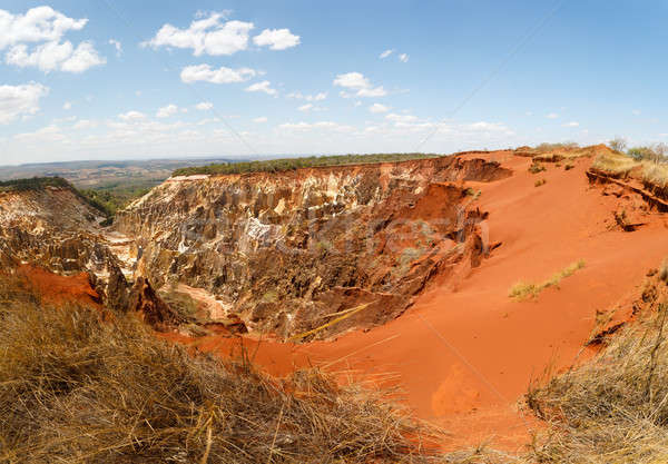 Ankarokaroka canyon in Ankarafantsika, Madagascar Stock photo © artush