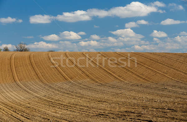 spring plowed field curves in countryside Stock photo © artush