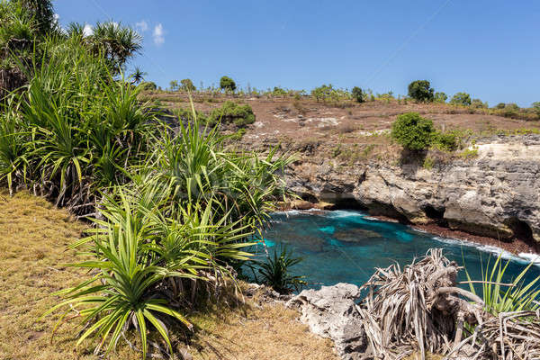 Kustlijn eiland droom bali punt beroemd Stockfoto © artush