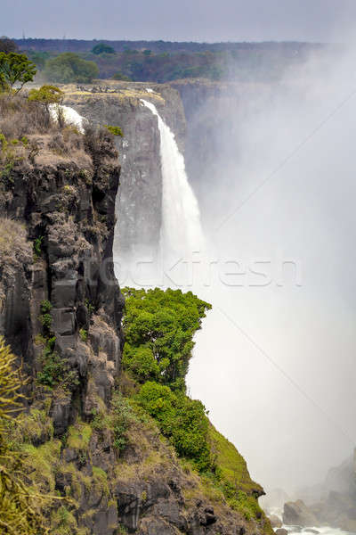 The Victoria falls with mist from water Stock photo © artush