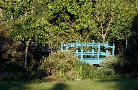 small green footbridge over a spring garden pond Stock photo © artush