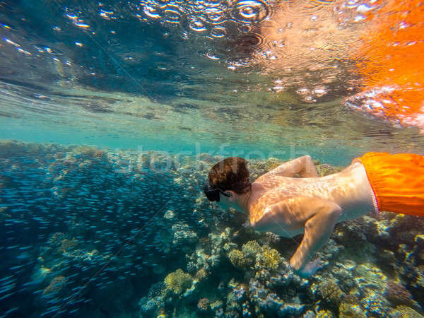 Young boy Snorkel swim in shallow water with coral school of fis Stock photo © artush