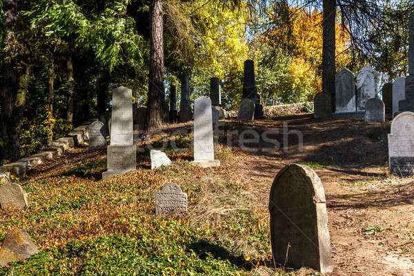 forgotten and unkempt Jewish cemetery with the strangers Stock photo © artush